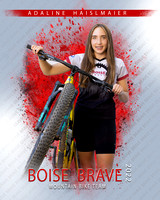 Boise Brave MTB Banners