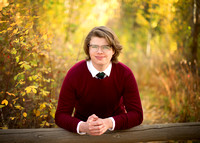 Robertson 2020